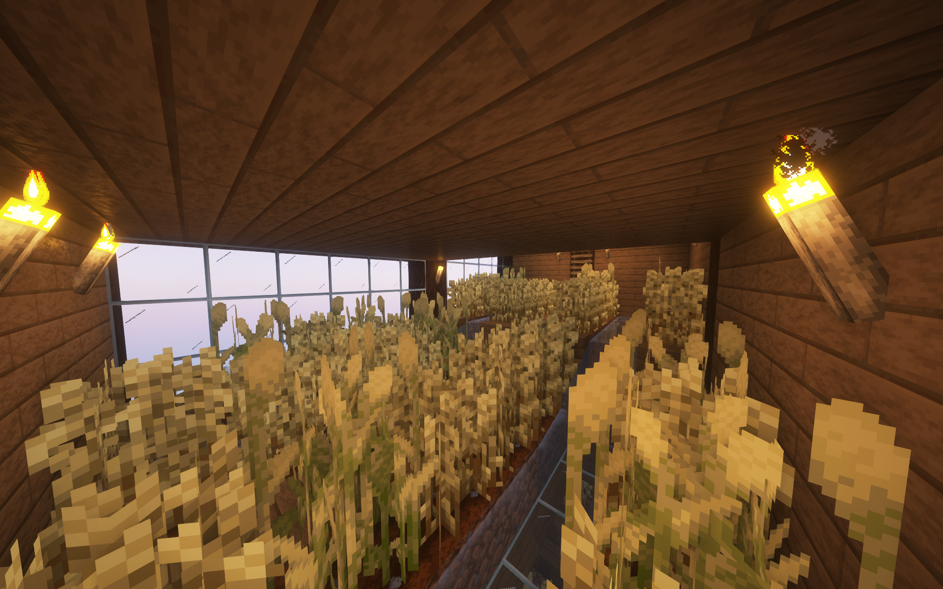 Indoor Farm